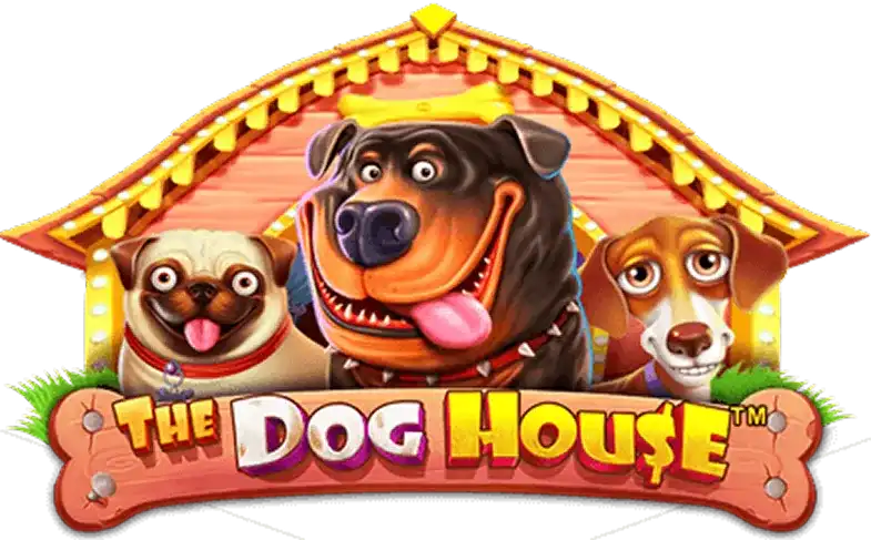 Dog House - mostbet-promo-code.pl
